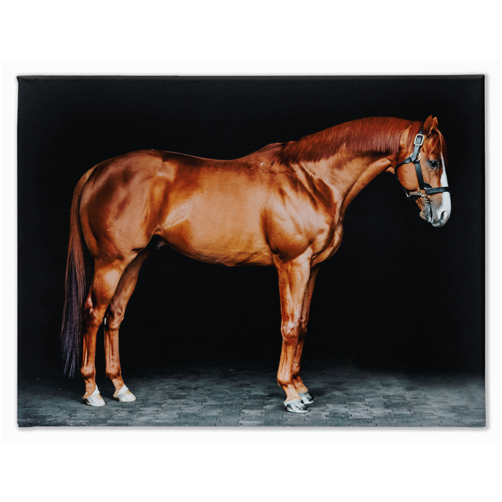 Justify Series 6, Stretched Canvas