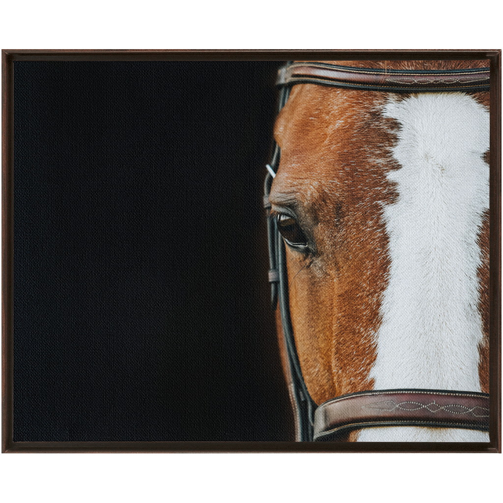 Huntsman Series 5, Framed Canvas