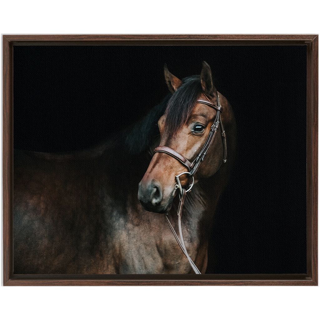 Jovial Series 2, Framed Canvas