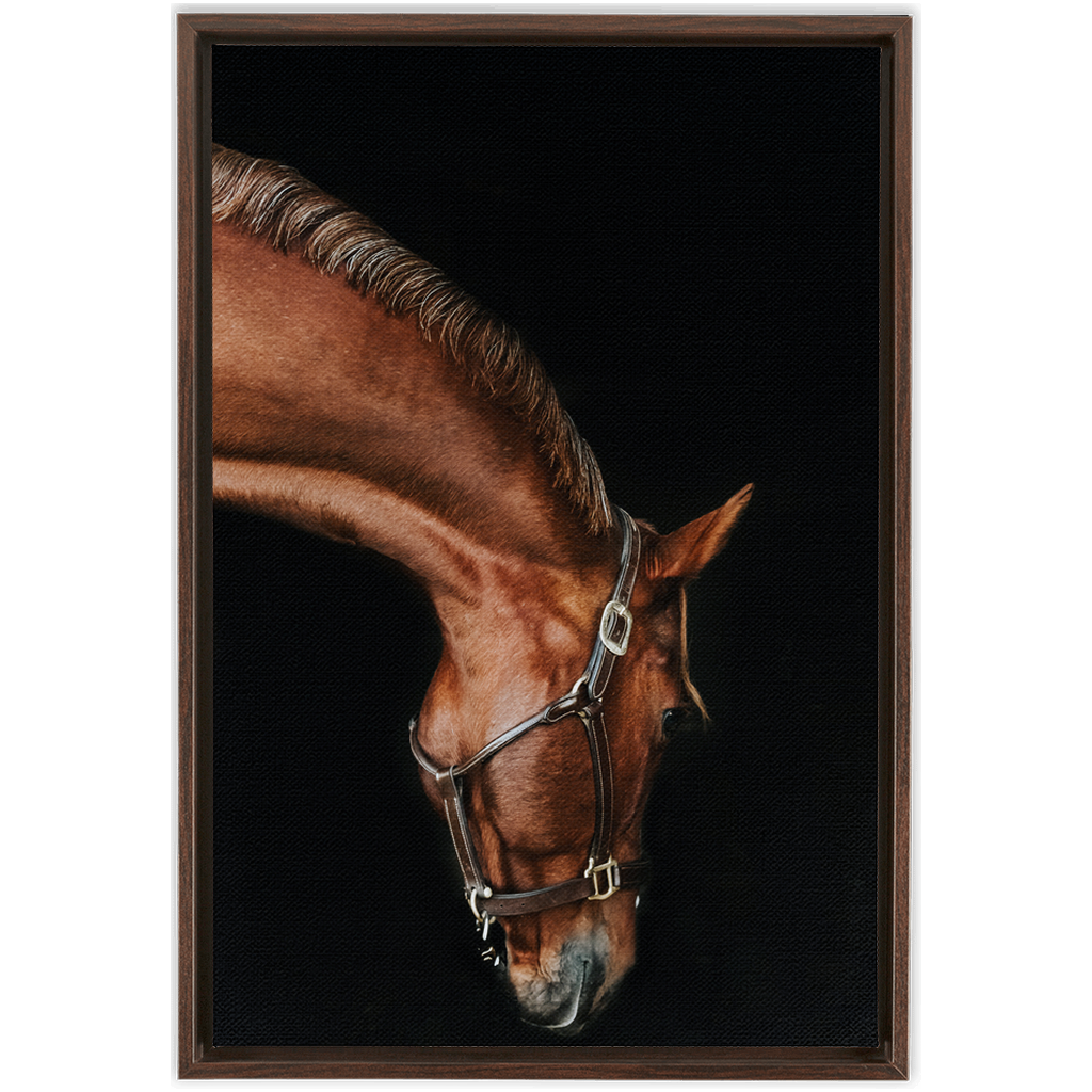Django Series 6, Framed Canvas