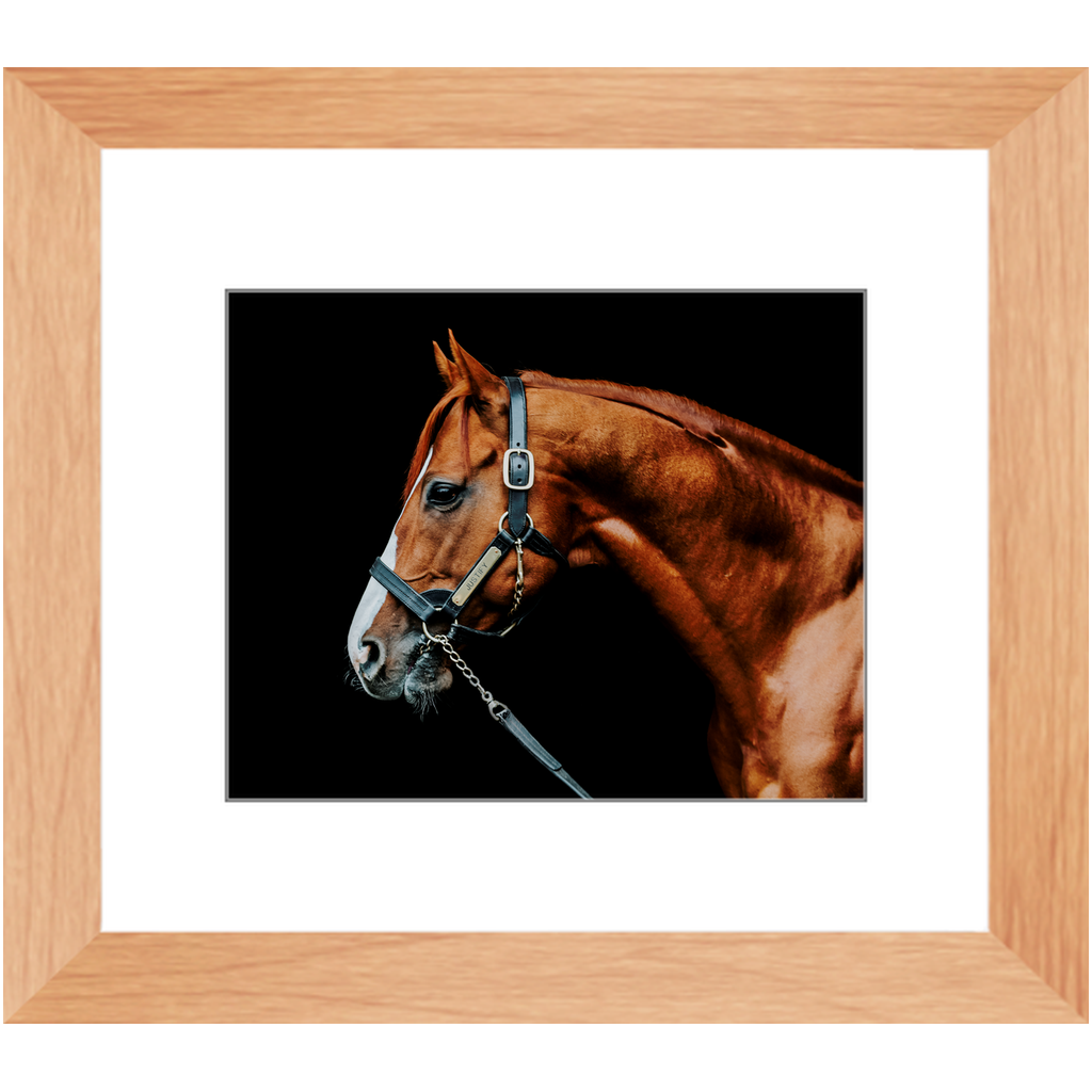 Justify Series 3, Framed Print