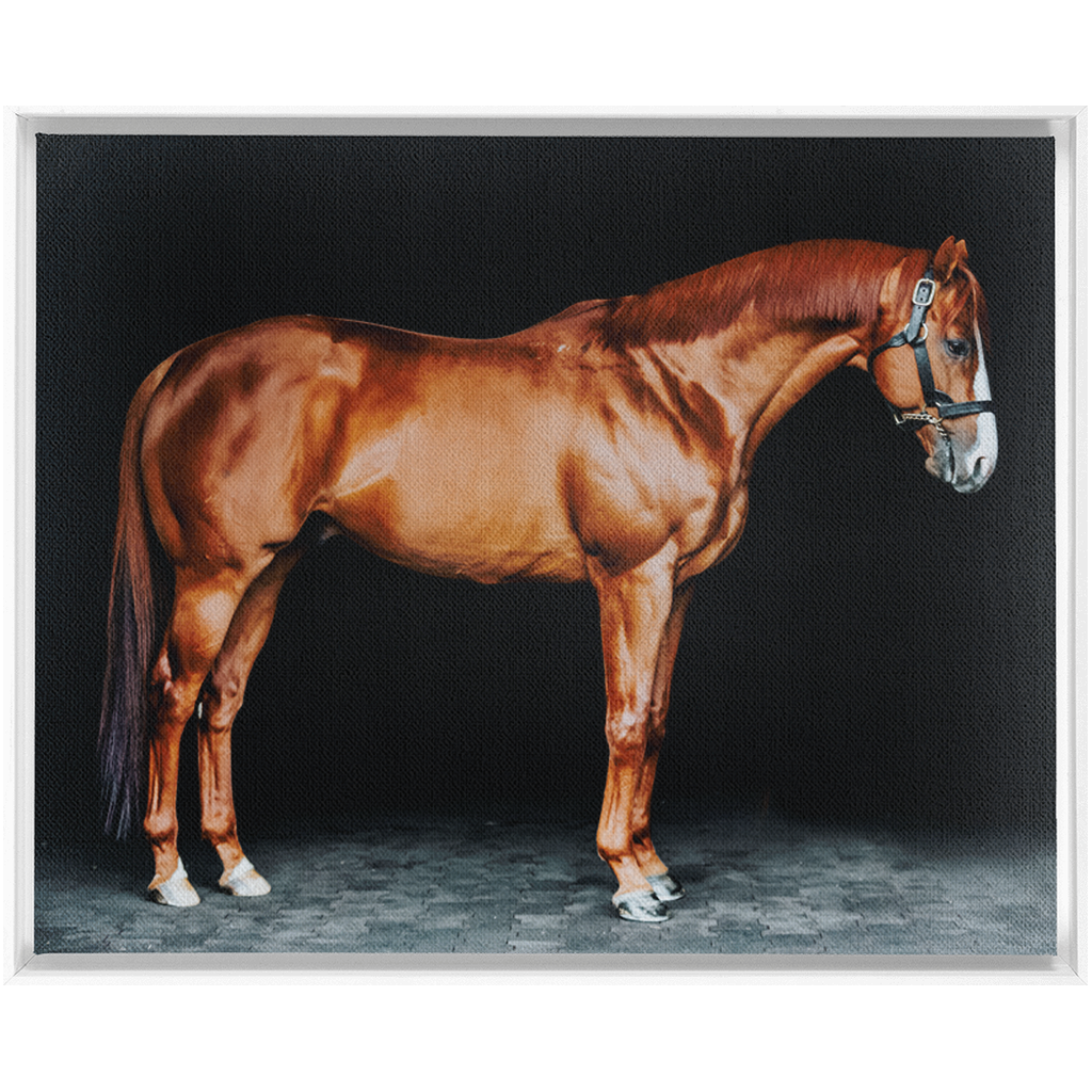 Justify Series 6, Framed Canvas