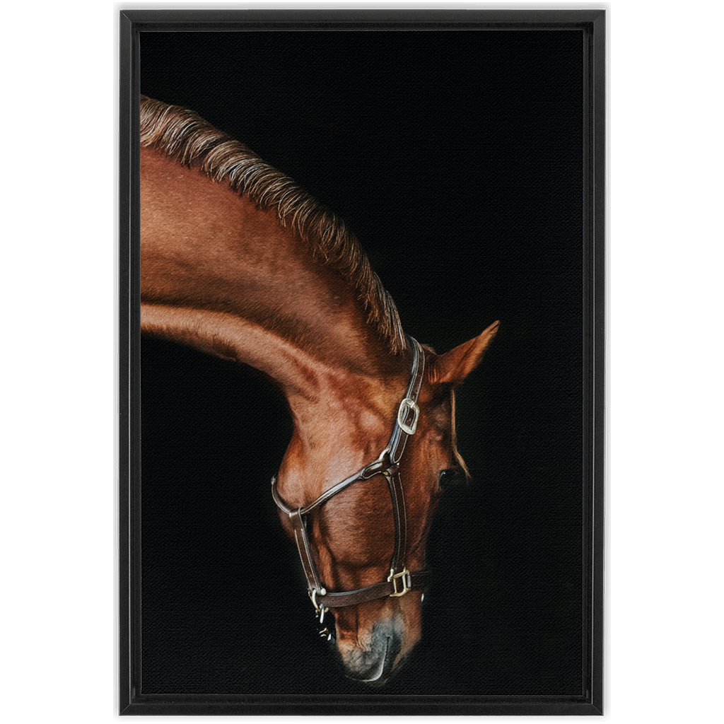Django Series 6, Framed Canvas